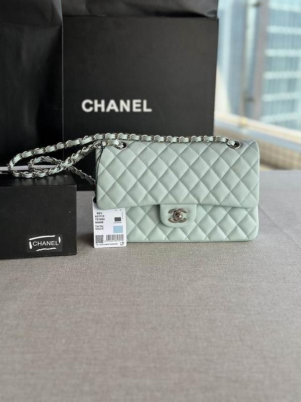 Chanel Handbags 315